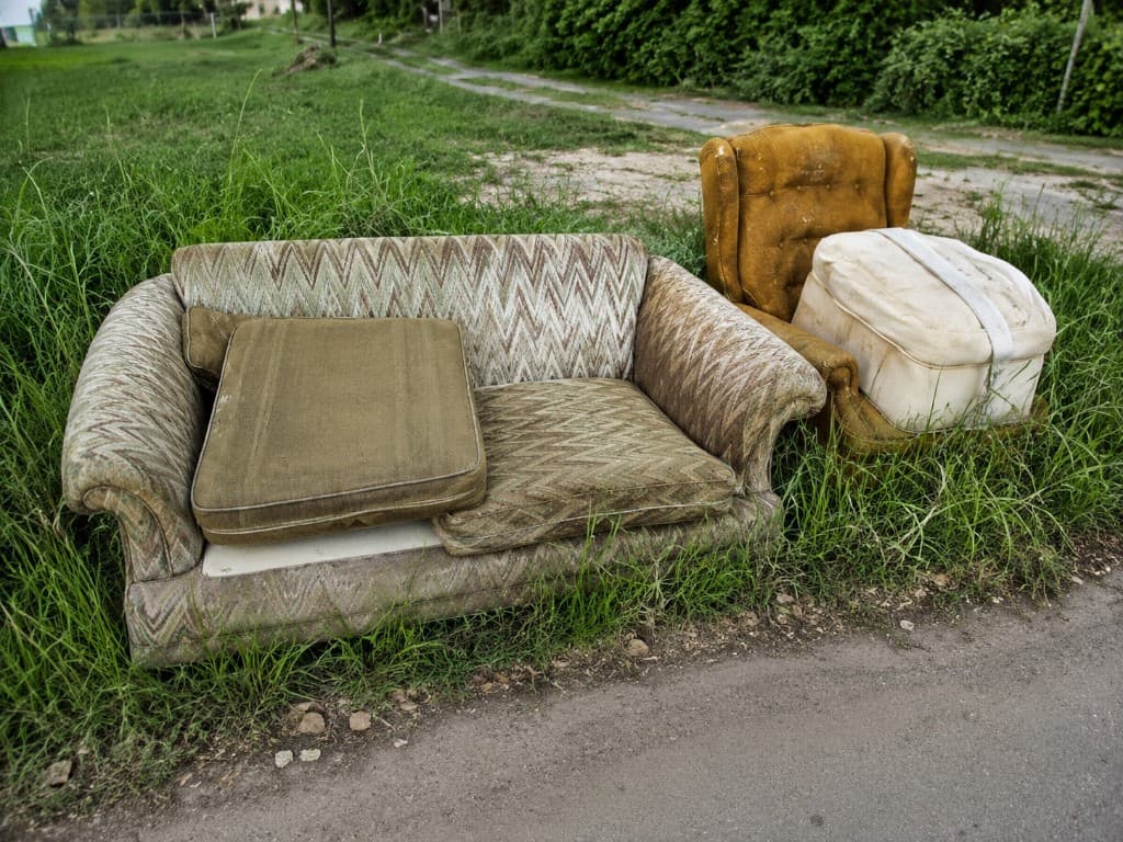Sofa ir fotelis žolėje – išvežimui